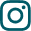 TikTok Icon