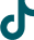 TikTok Icon